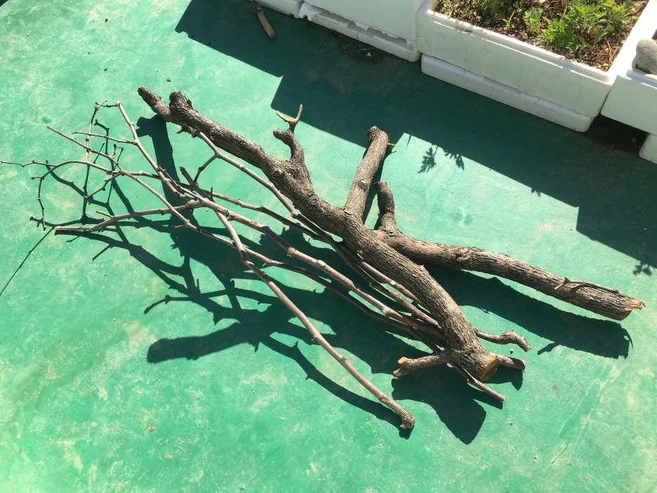 20210505_0071.JPG?type=w1