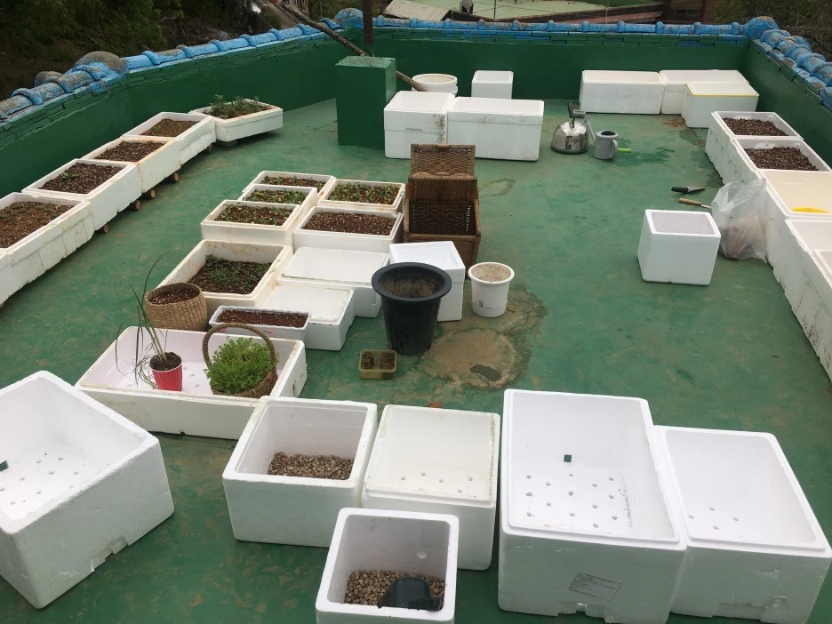 20210423_0993.JPG?type=w1