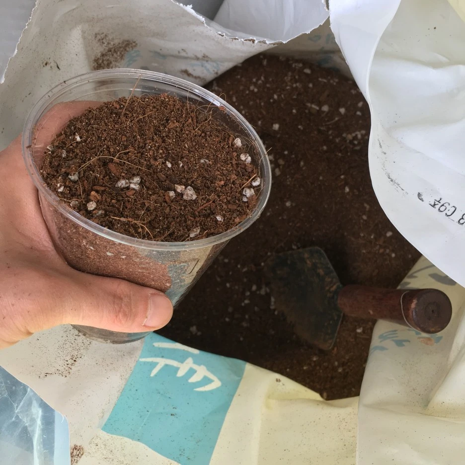 20210401_0464.JPG?type=w1