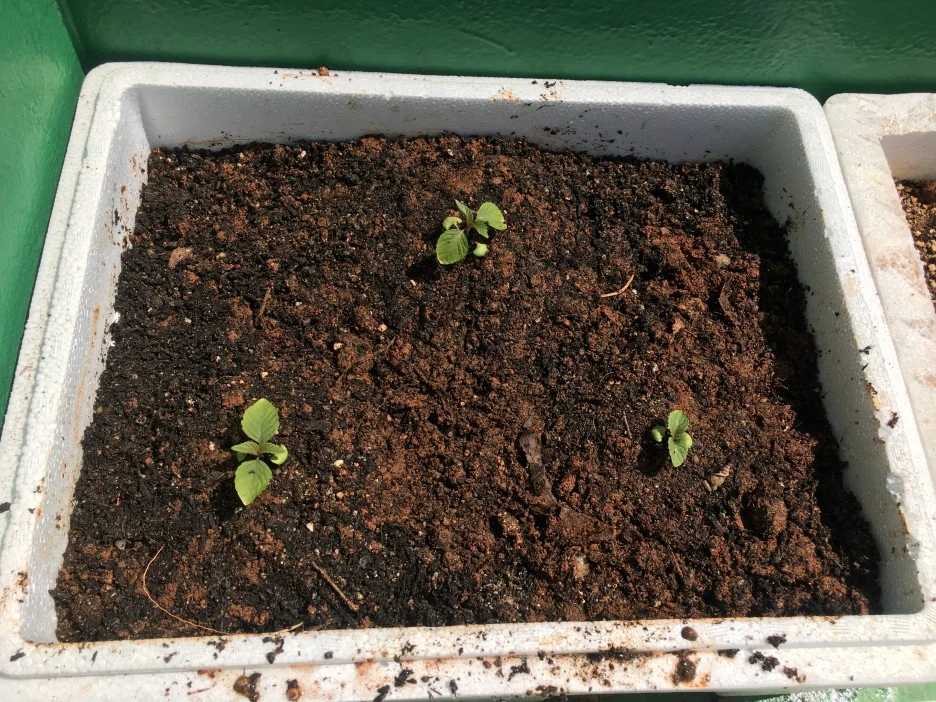 20210409_0694.JPG?type=w1