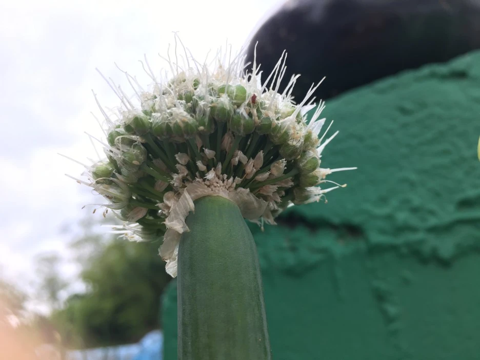 20210430_1212.JPG?type=w1