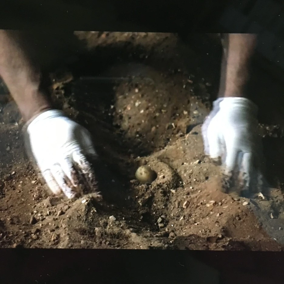 20210413_1016.JPG?type=w1