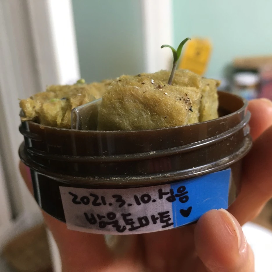 20210407_0555.JPG?type=w1