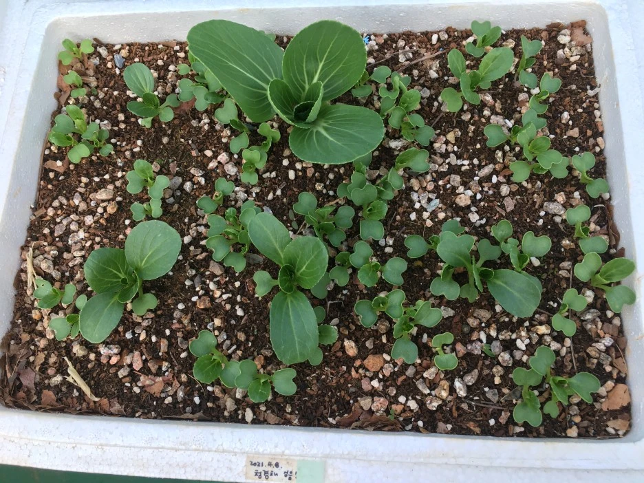 20210506_0105.JPG?type=w1