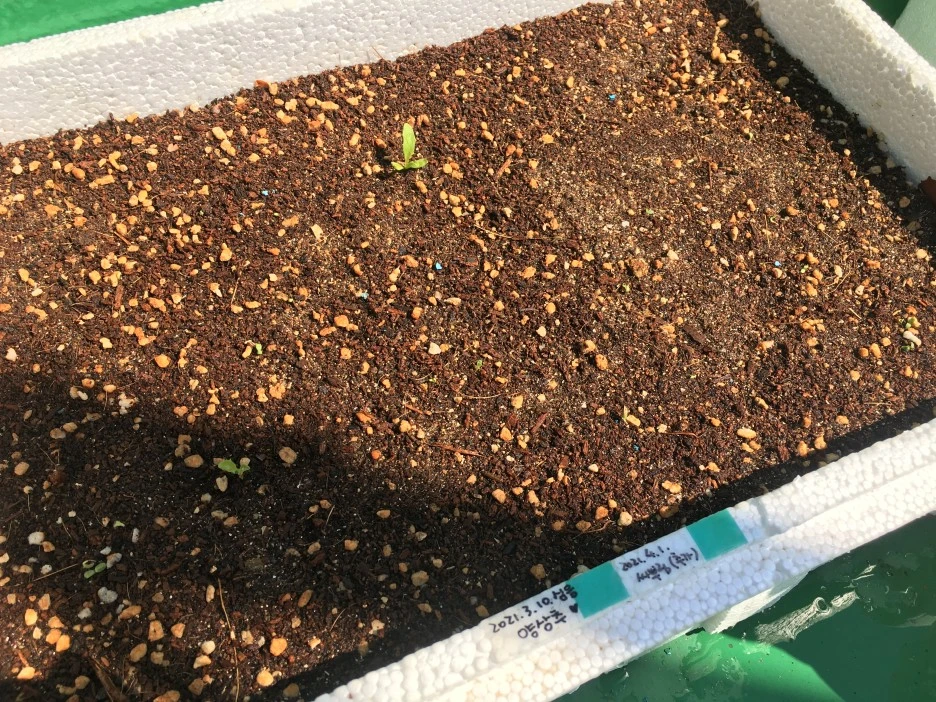 20210408_0568.JPG?type=w1