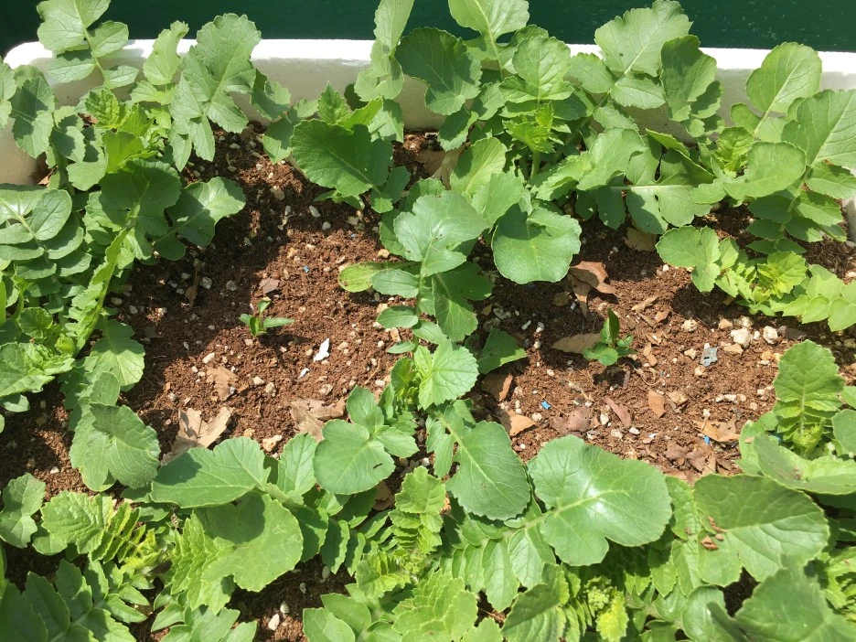 20210514_1511.JPG?type=w1