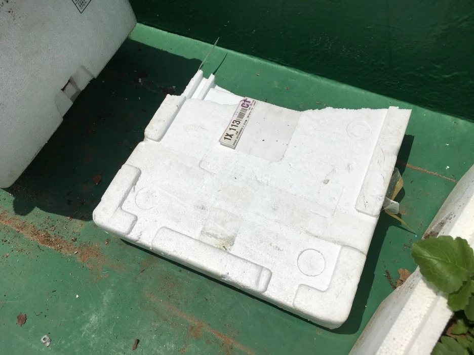 20210514_1492.JPG?type=w1