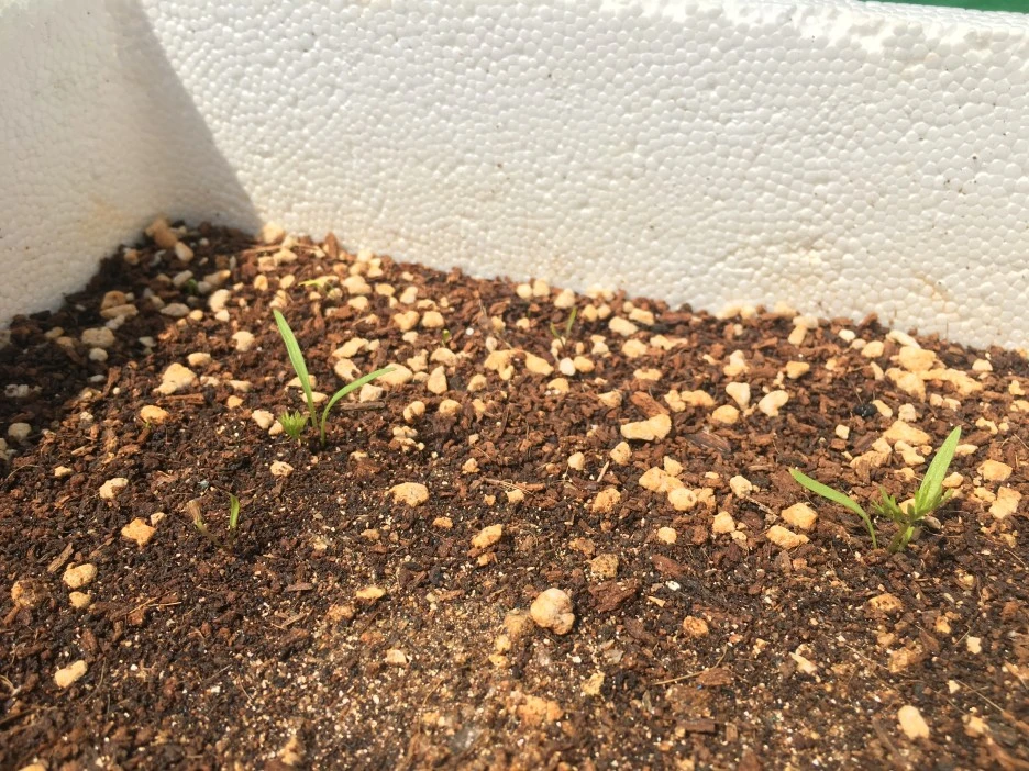 20210415_1093.JPG?type=w1