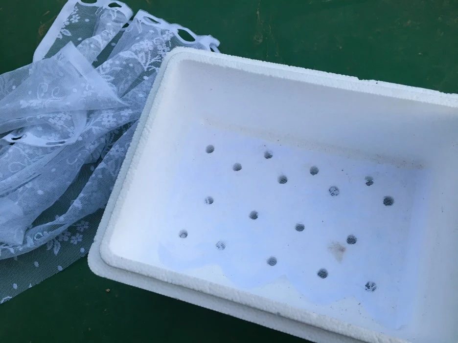 20210512_1443.JPG?type=w1