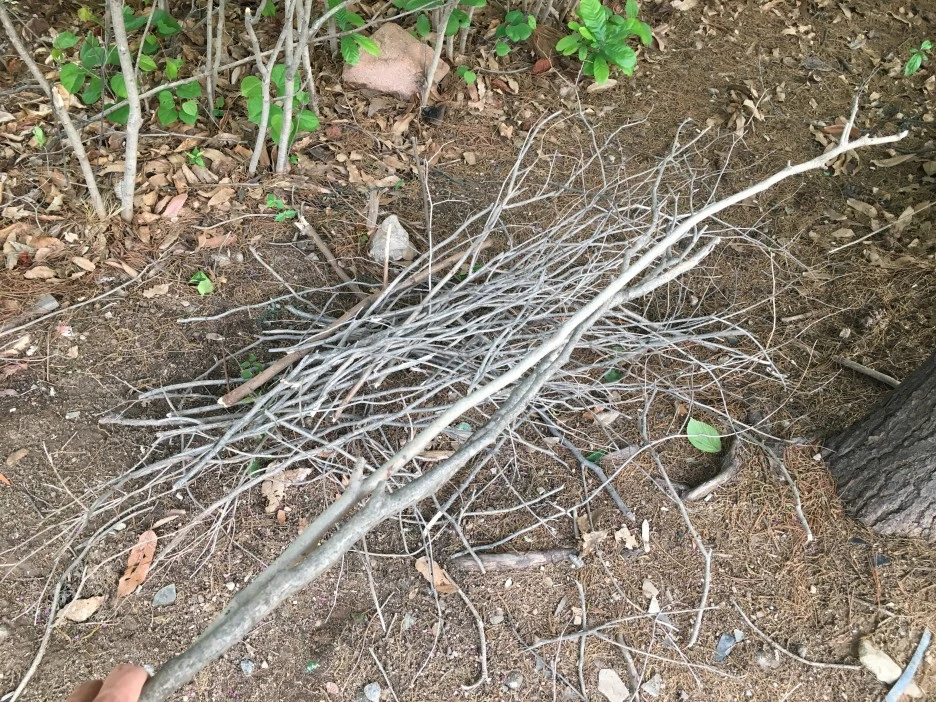 20210506_0092.JPG?type=w1