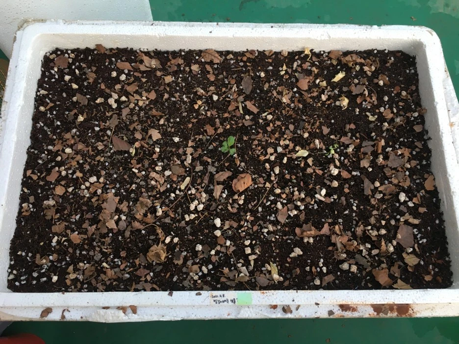 20210505_0080.JPG?type=w1