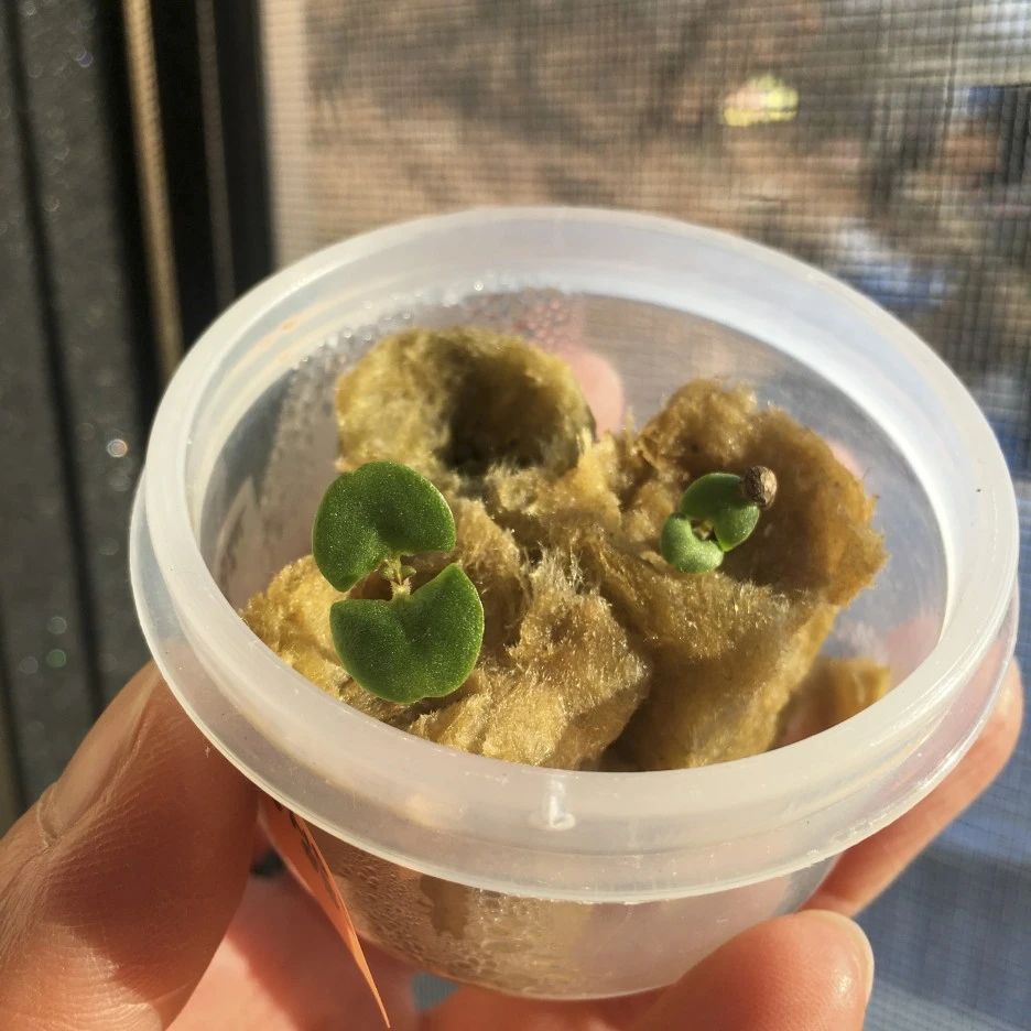 20210305_0078.jpg?type=w1