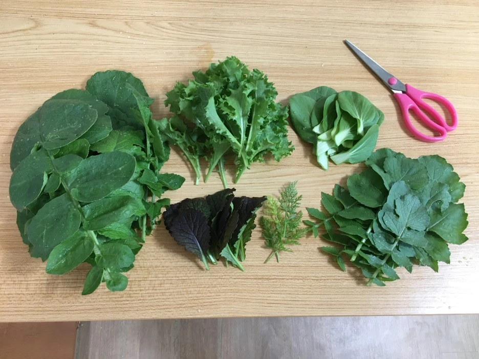 20210521_1794.JPG?type=w1