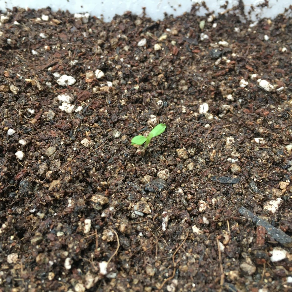 20210327_0356.JPG?type=w1