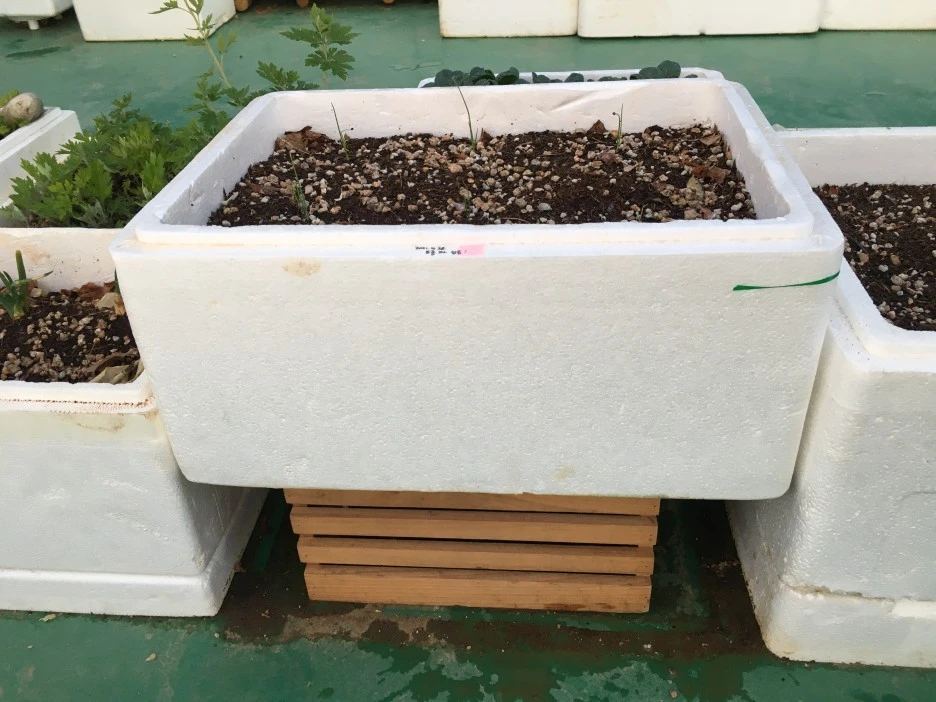 20210512_1441.JPG?type=w1