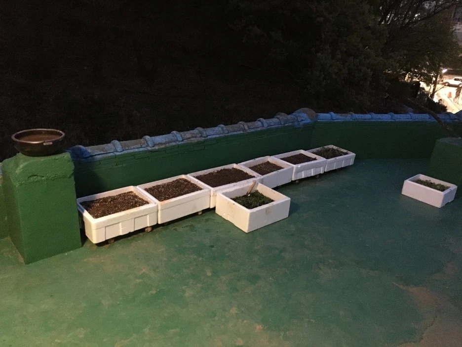 20210413_0999.JPG?type=w1