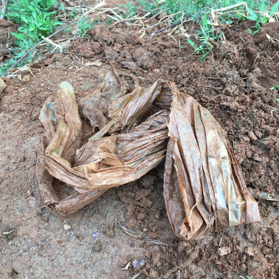 20210413_0990.JPG?type=w1