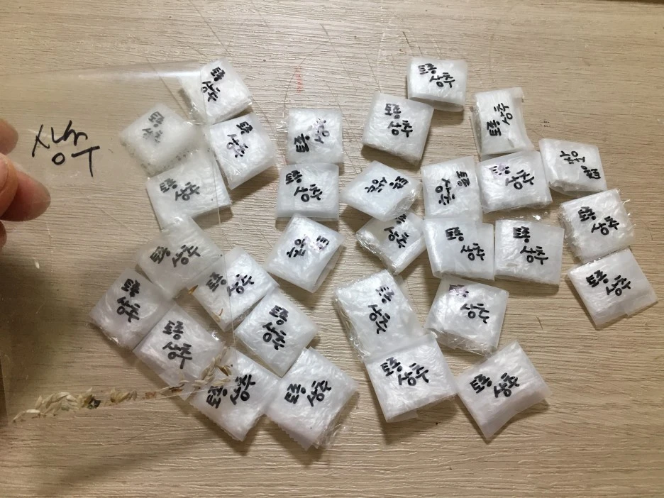 20210403_0537.JPG?type=w1