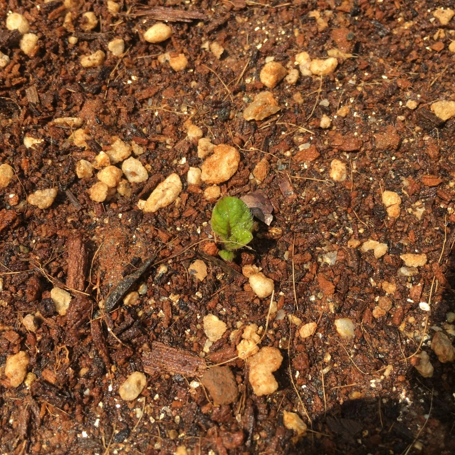 20210421_0897.JPG?type=w1