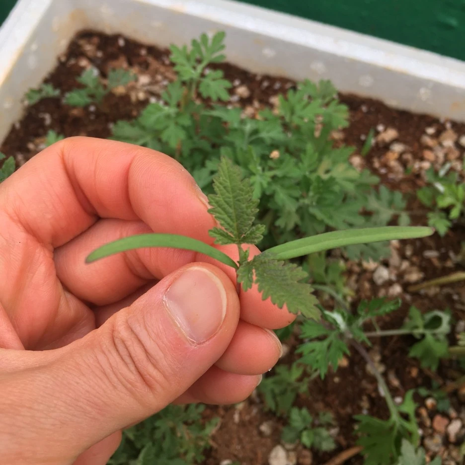 20210423_0988.JPG?type=w1