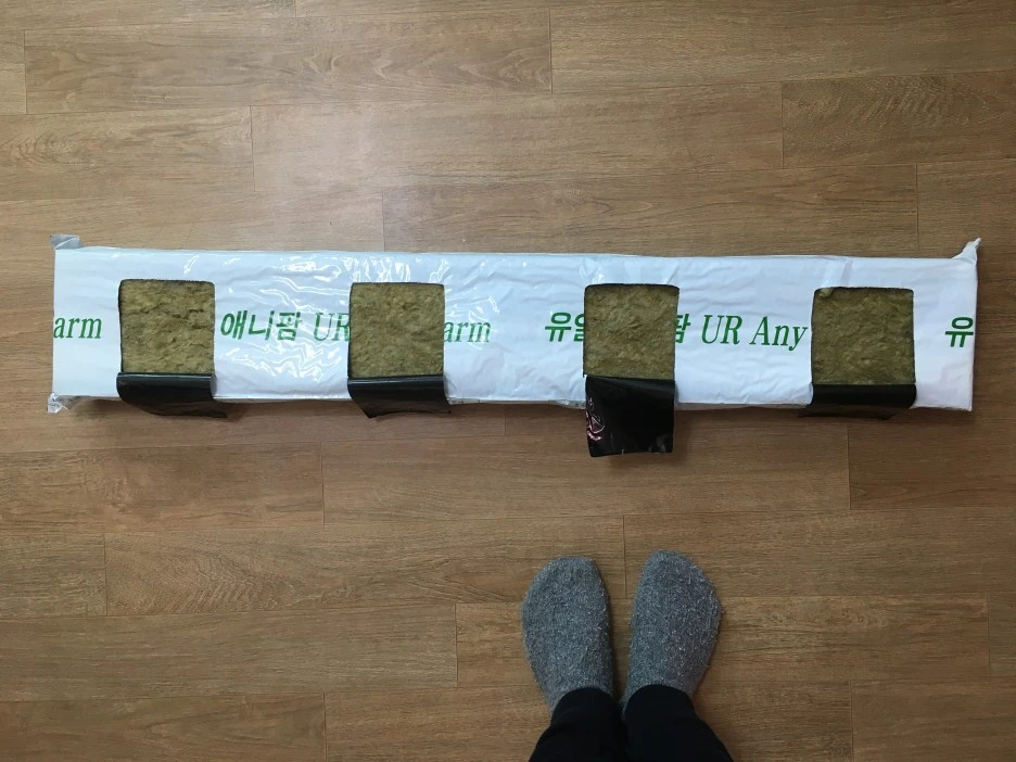 20210408_0578.JPG?type=w1