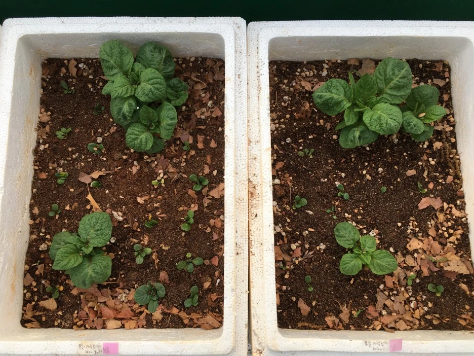 20210428_1170.JPG?type=w1