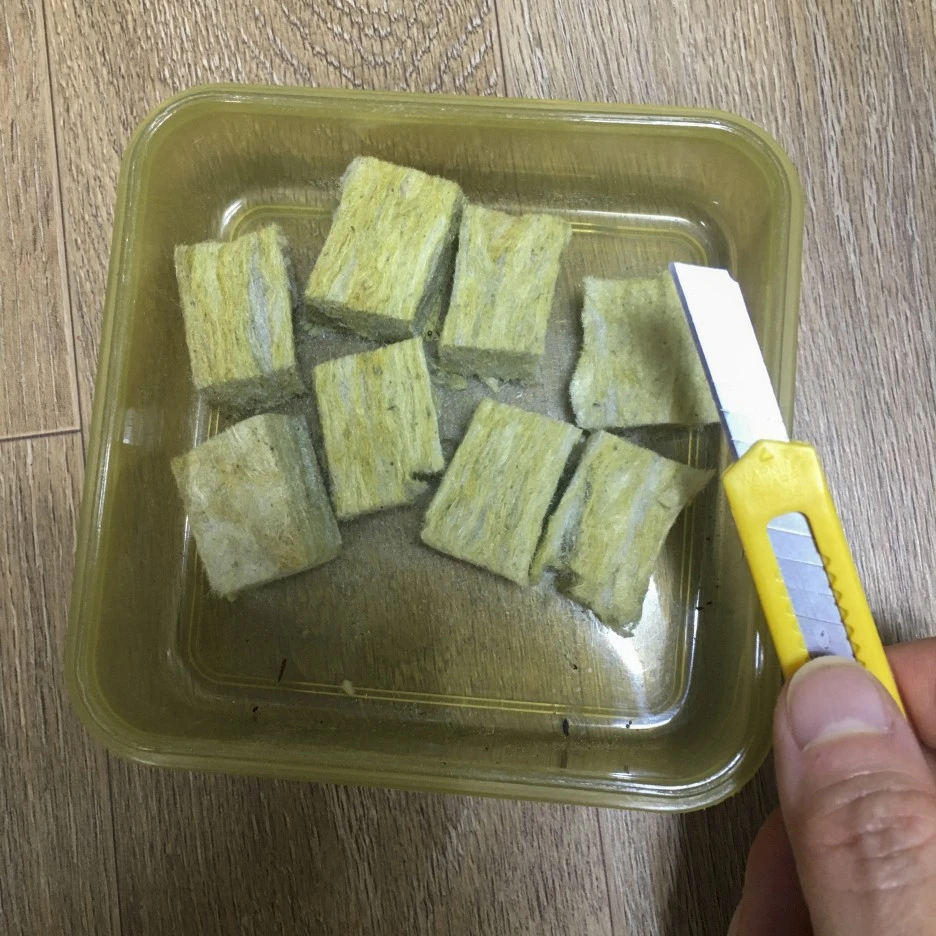 20210310_0128.jpg?type=w1