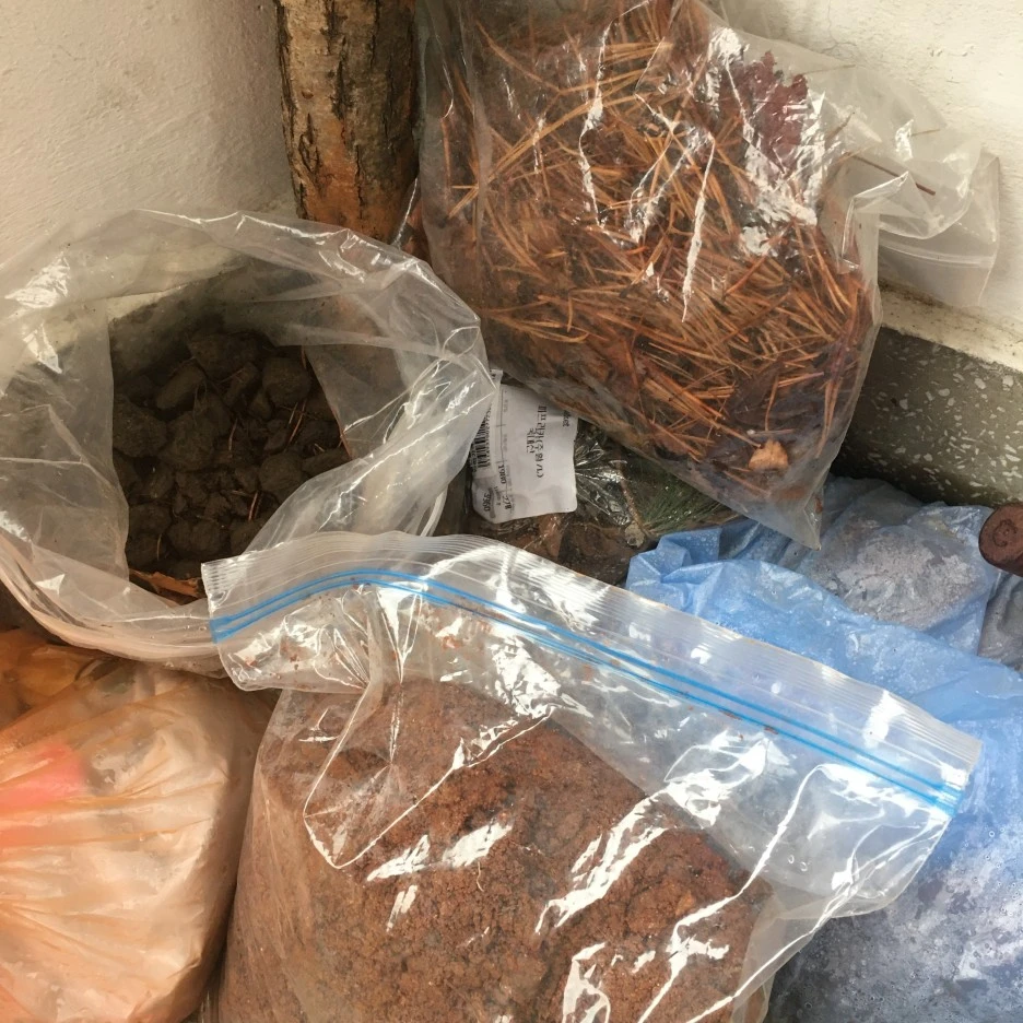 IMG_9103.JPG?type=w1