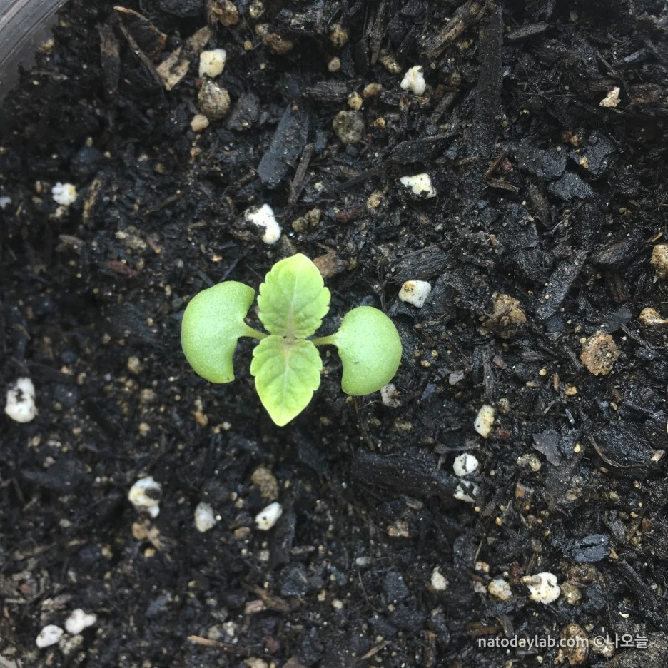 20210319--%EB%82%A0%EC%A7%9C-3.jpg?type=w1