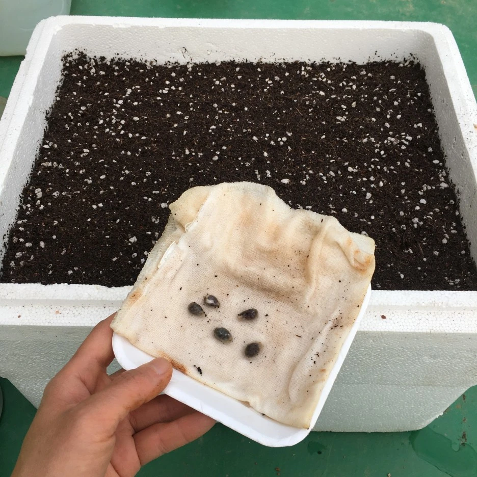 20210506_0097.JPG?type=w1