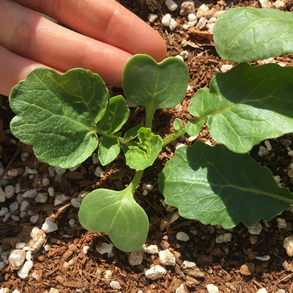 IMG_1011.JPG?type=w1