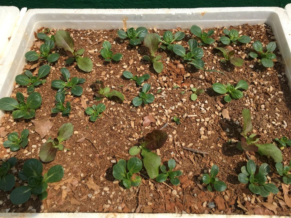 20210429_1196.JPG?type=w1