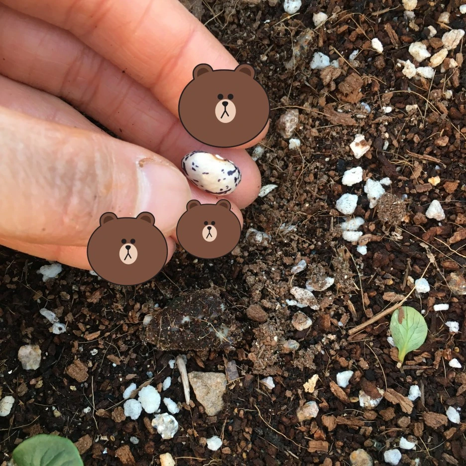 SE-44bbc420-ac72-4d78-b581-ad0ce12b1190.jpg?type=w1