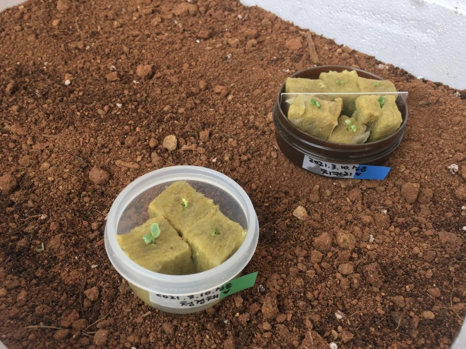 20210325_0321.JPG?type=w1