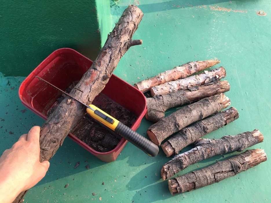 20210410_0719.JPG?type=w1