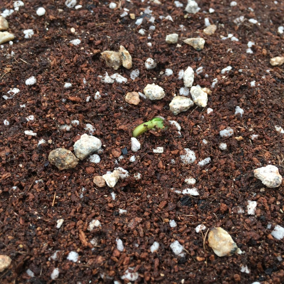 20210423_0992.JPG?type=w1