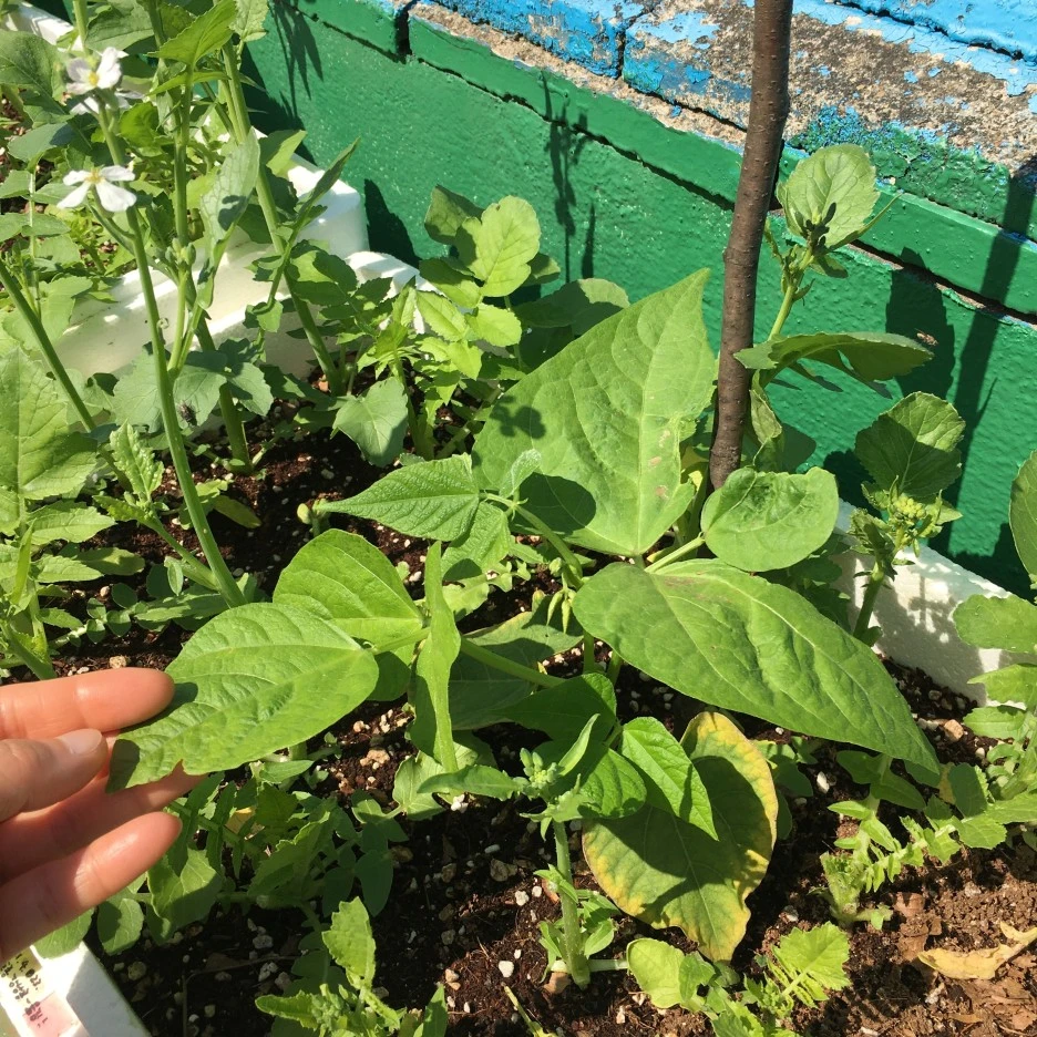 20210519_1686.JPG?type=w1