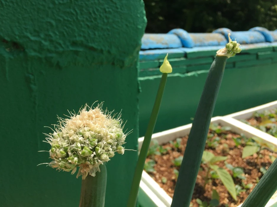 20210503_1274.JPG?type=w1