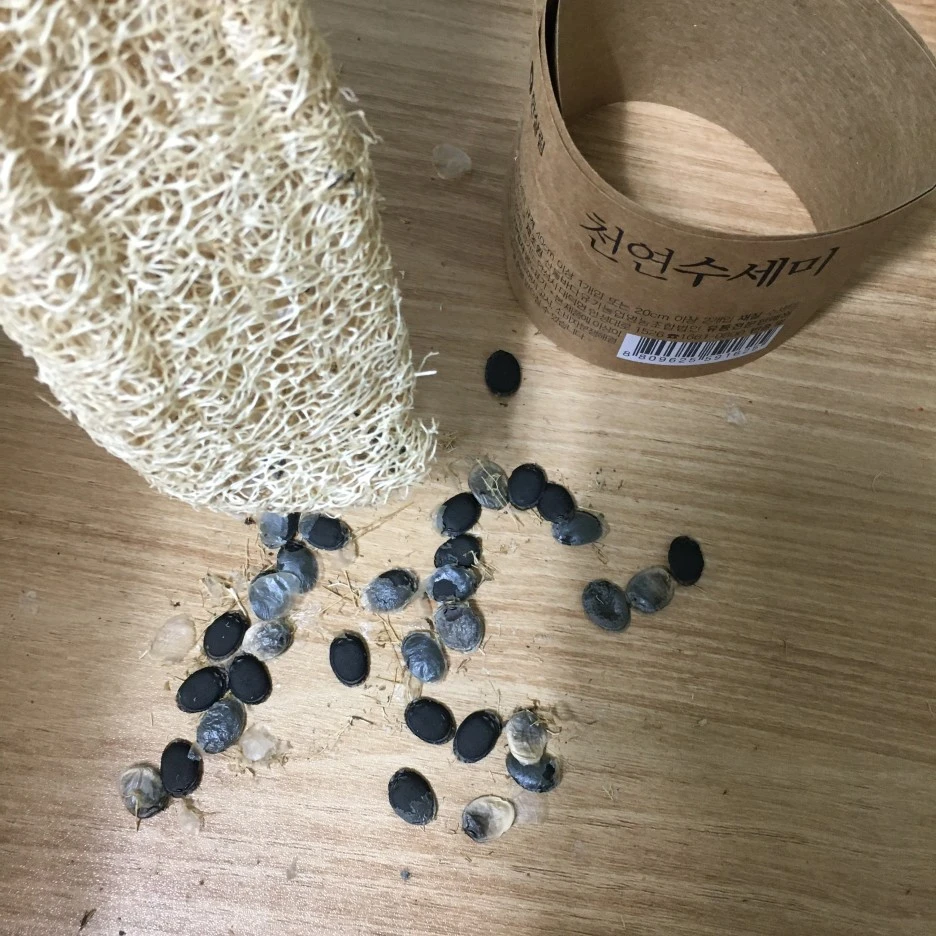 20210403_0545.JPG?type=w1