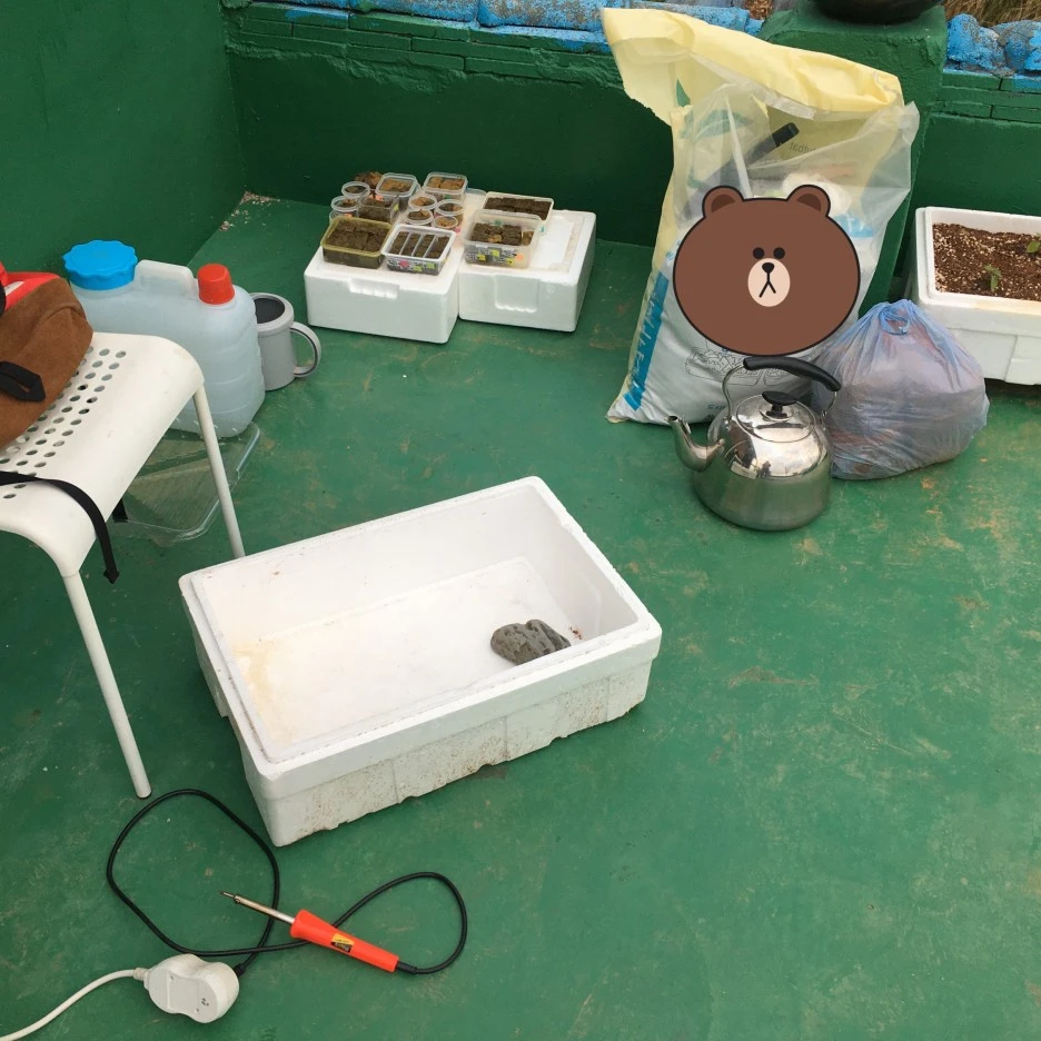 SE-79dd9d8d-9430-469c-b2f1-5e5beeb93803.jpg?type=w1