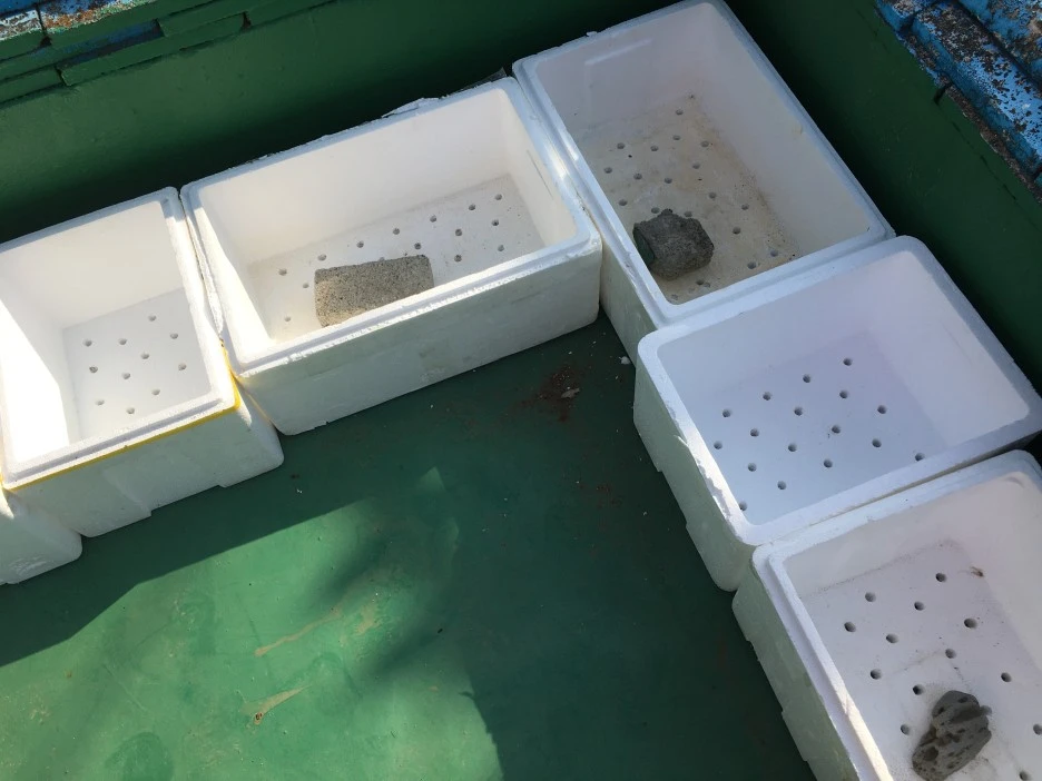 20210415_1104.JPG?type=w1