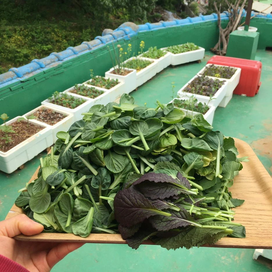 20210520_1744.JPG?type=w1