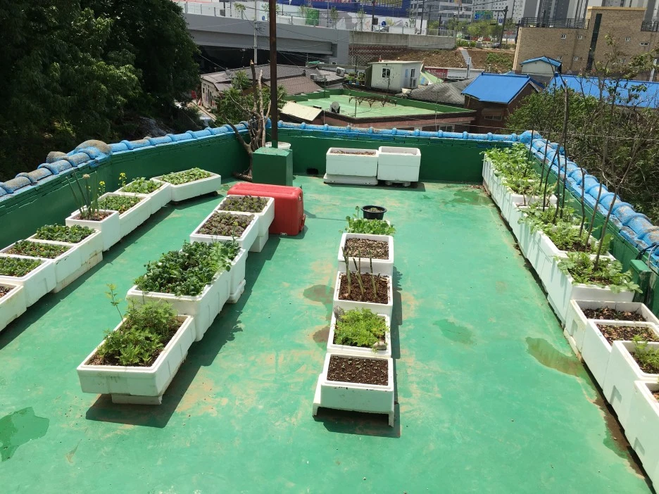 20210518_1642.JPG?type=w1