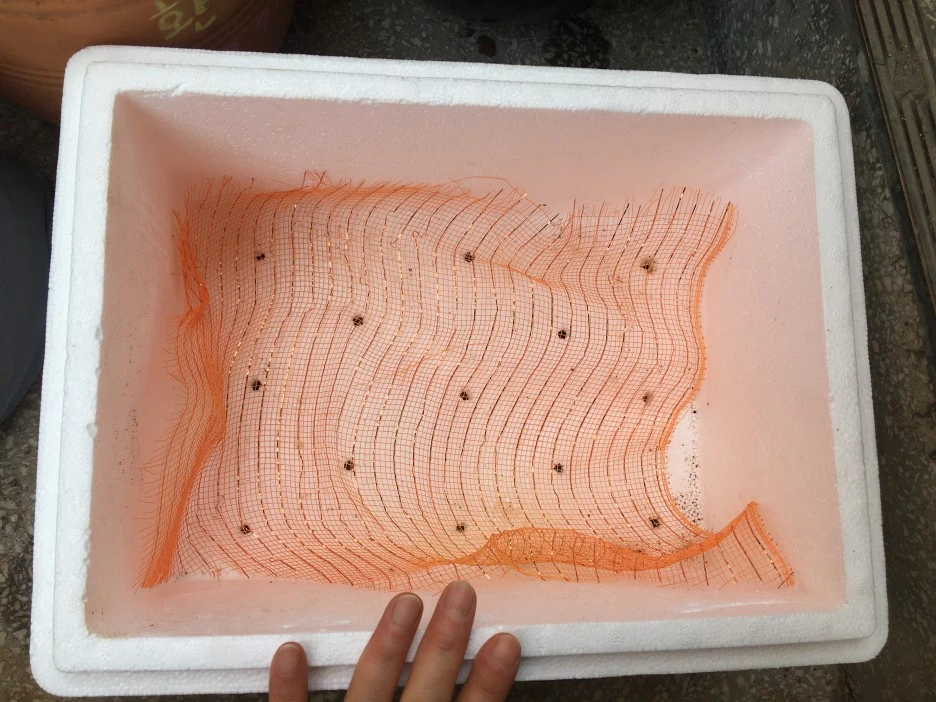 20210325_0304.JPG?type=w1