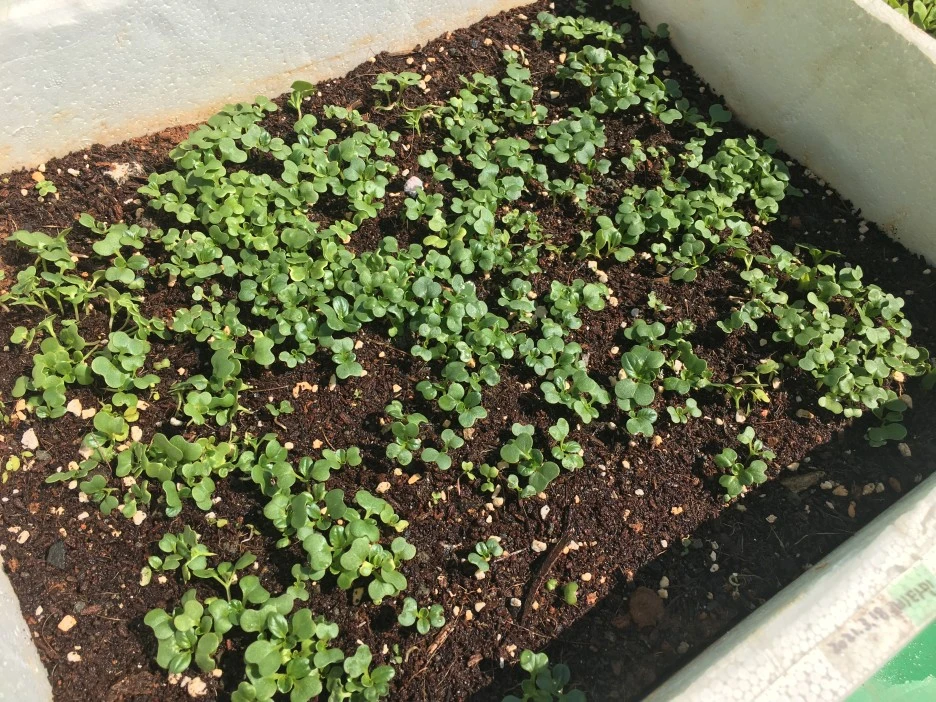 20210408_0571.JPG?type=w1