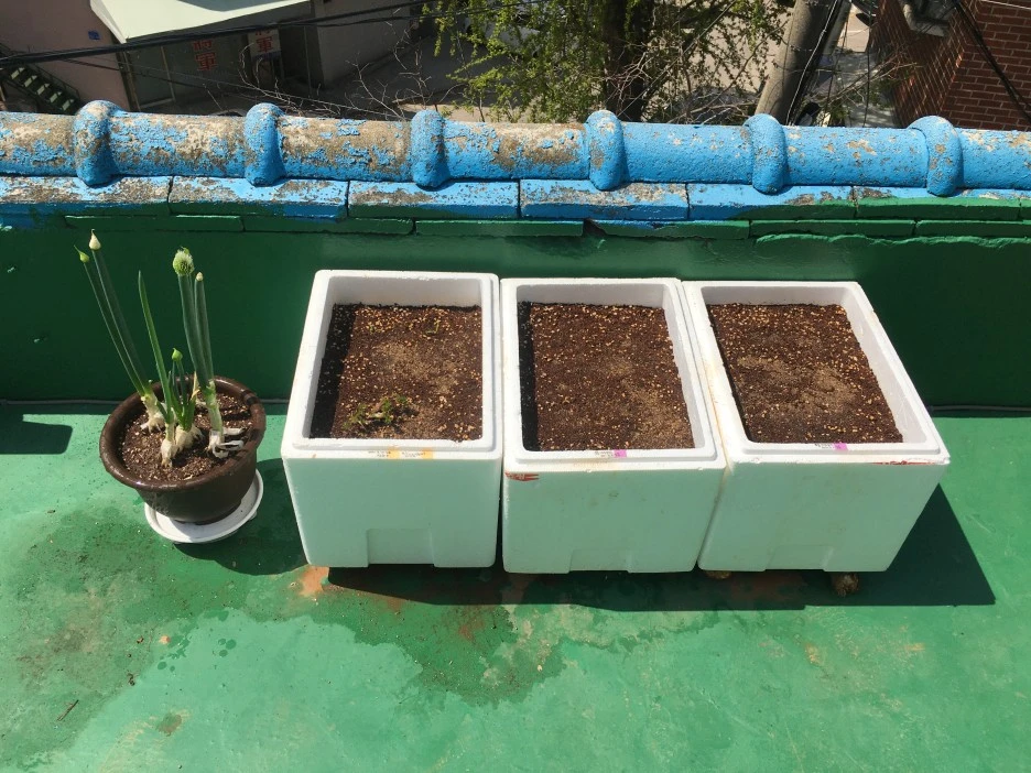 20210409_0695.JPG?type=w1