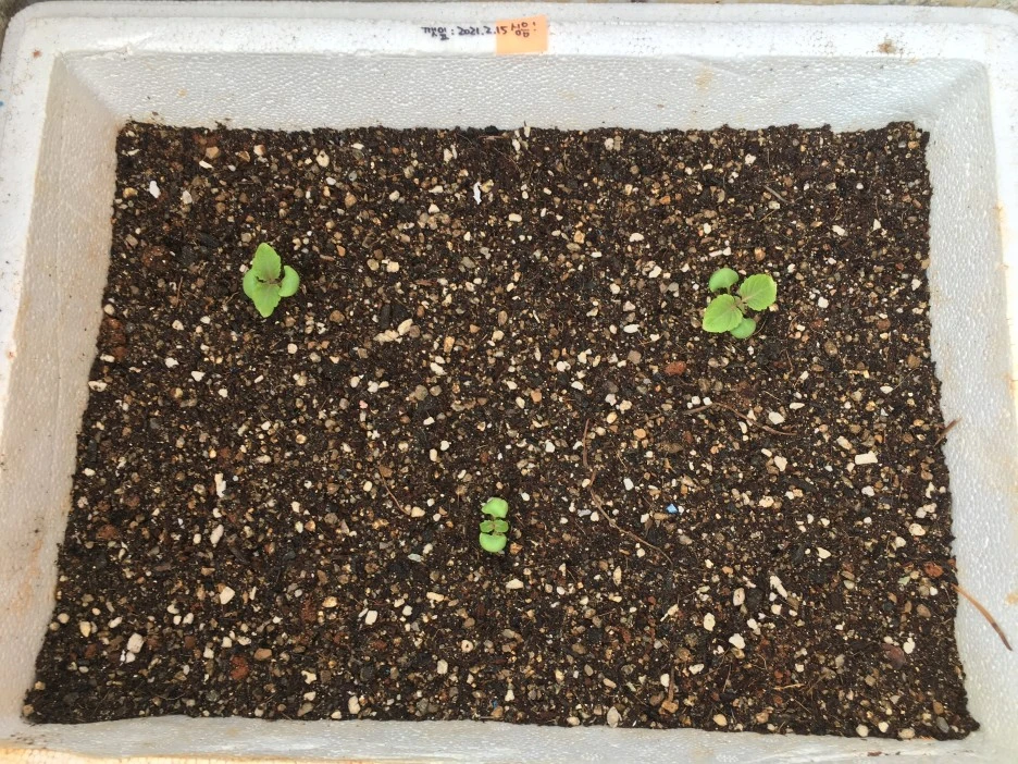 20210331_0425.JPG?type=w1