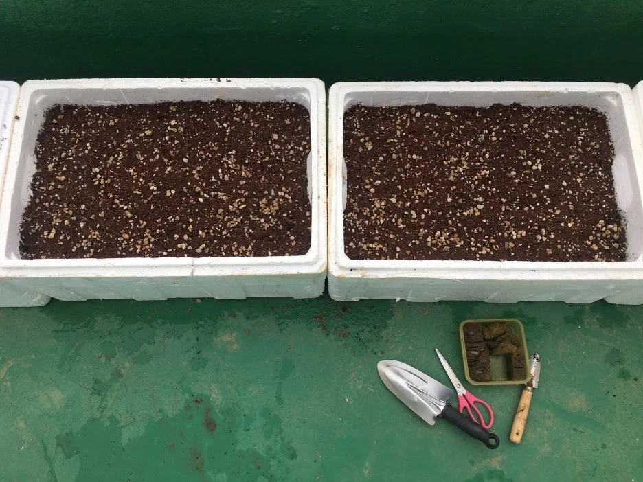 20210423_0991.JPG?type=w1