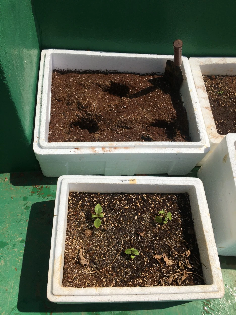 20210409_0693.JPG?type=w1