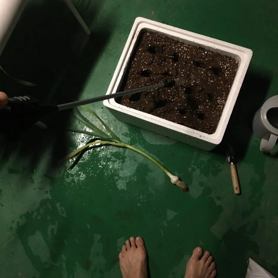 20210418_2847.JPG?type=w1